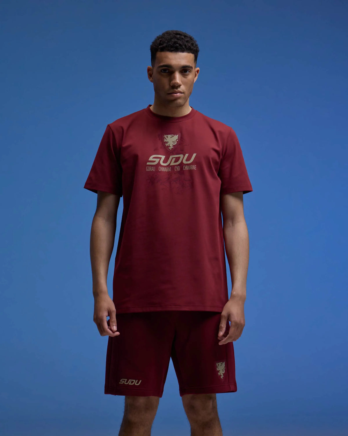 SUDU T-Shirt Wales SUDU 2026-28 Players Home Travel Logo T-Shirt