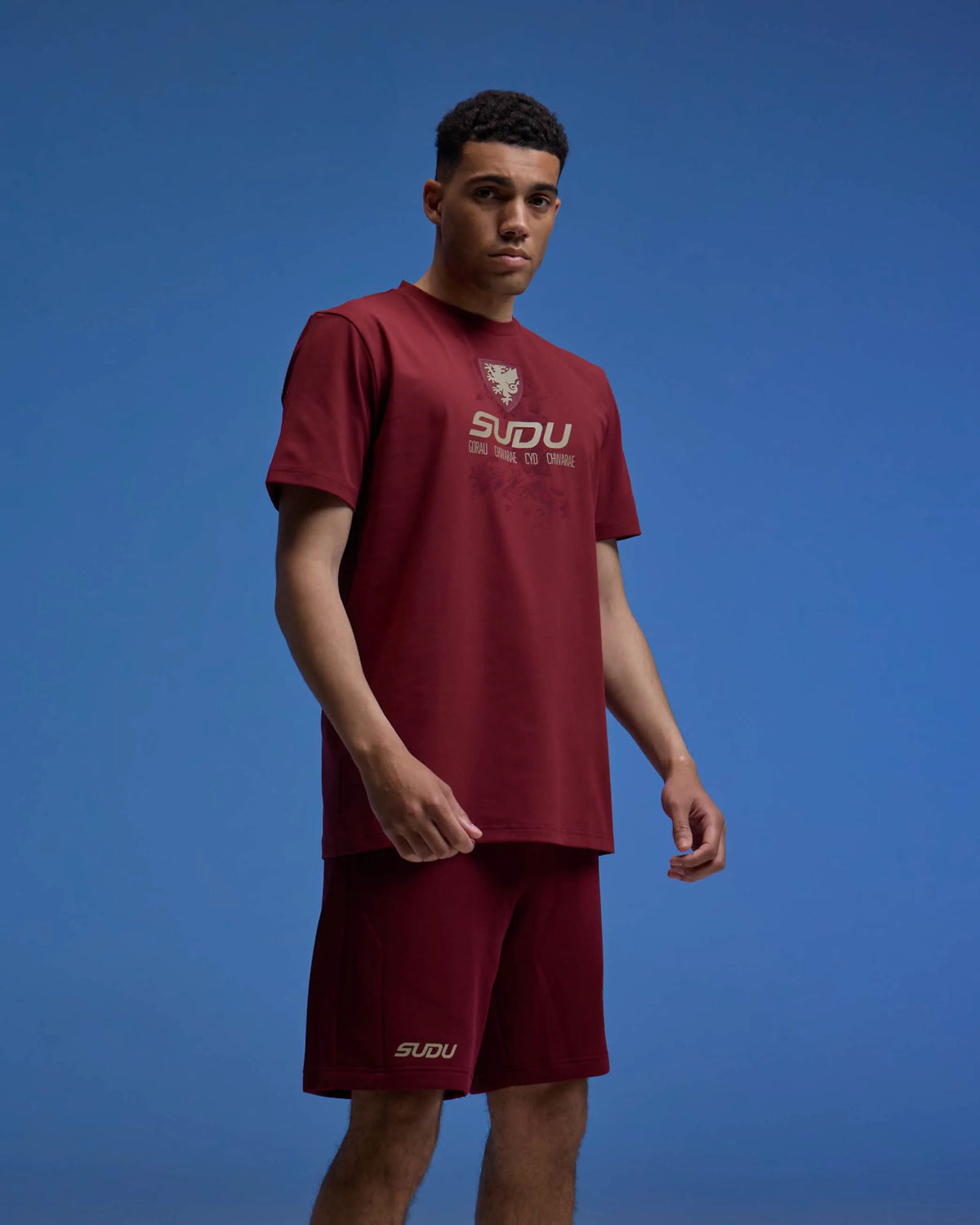 SUDU T-Shirt Wales SUDU 2026-28 Players Home Travel Logo T-Shirt