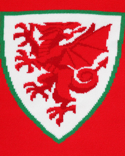 The Official Wales Football Store Scarf Bar Scarf - Green/Yellow