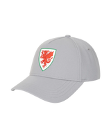 FAW Cap Essentials Cap - Grey