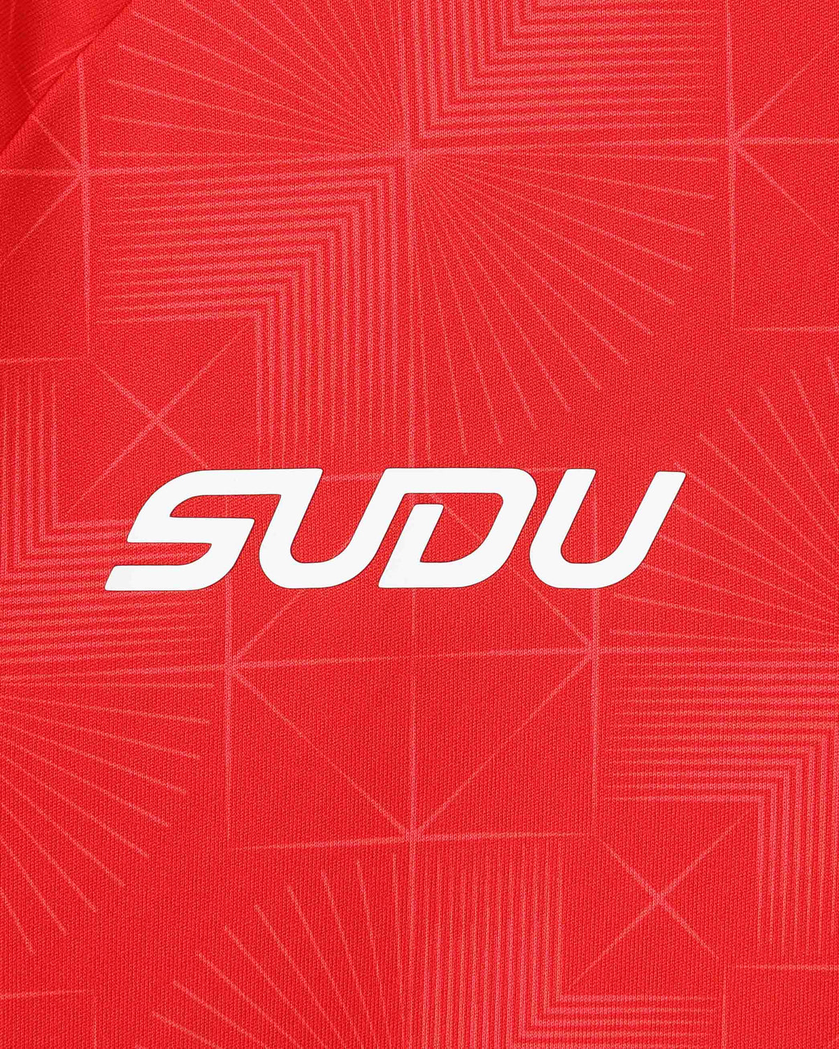 SUDU T-Shirt Wales SUDU 2026-28 Players Home Training T-Shirt
