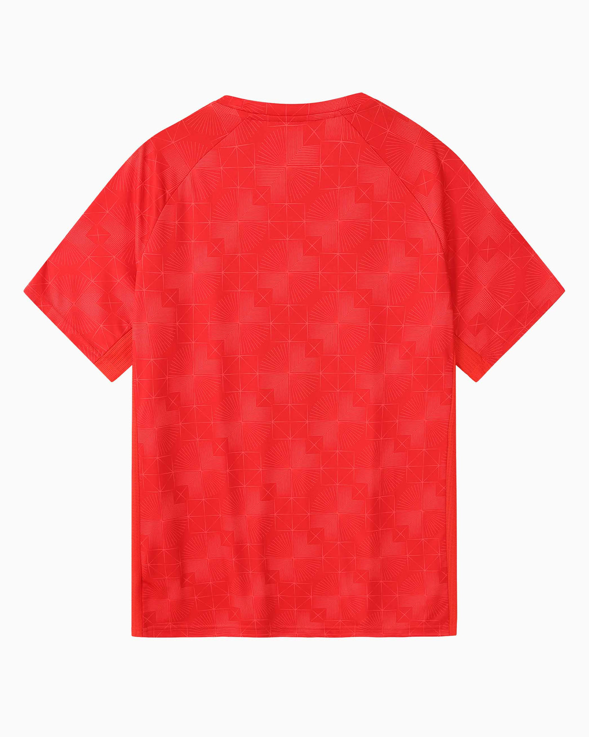 SUDU T-Shirt Wales SUDU 2026-28 Players Home Training T-Shirt