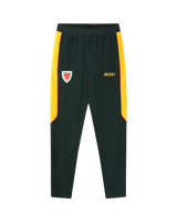 Wales SUDU 2026-27 Players Away Training Pant