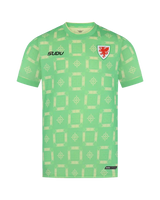 SUDU T-Shirt Wales SUDU 2026-27 Goalkeeper Shirt - Green - Junior