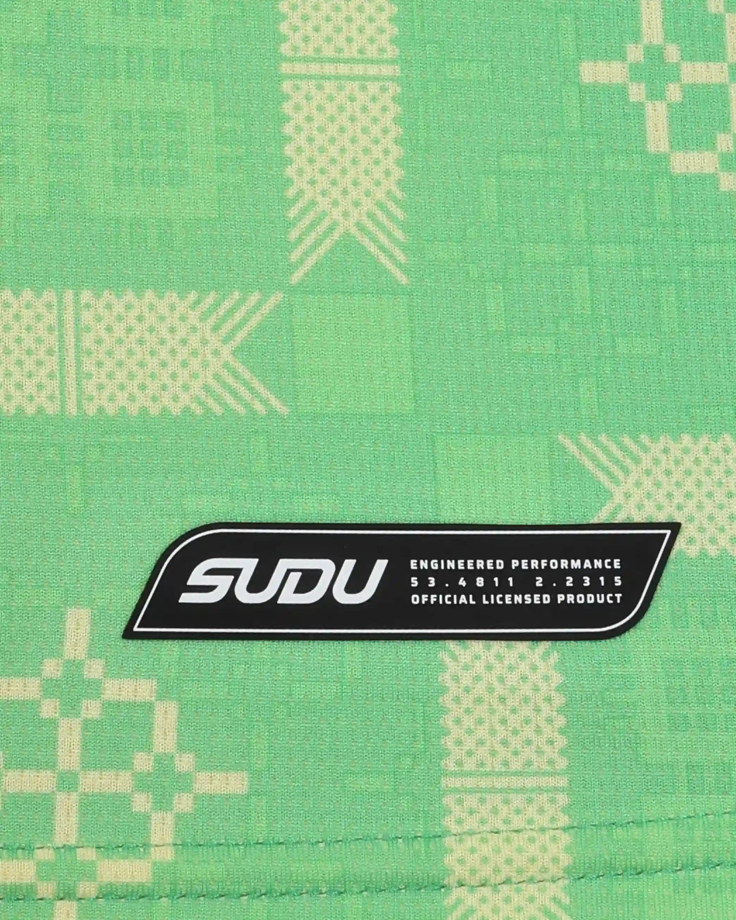 SUDU T-Shirt Wales SUDU 2026-27 Goalkeeper Shirt - Green - Junior